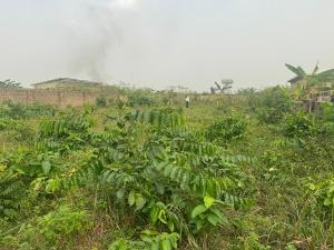Land for sale Uyo Akwa Ibom