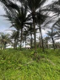Land for sale Uyo Akwa Ibom