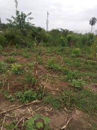 Land for sale Shelter Afrique Uyo Akwa Ibom