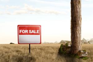 Land for sale At Along Ikorodu Road By Maryland Mall Anthony Village Maryland Lagos