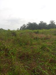Land for sale Uruan Akwa Ibom