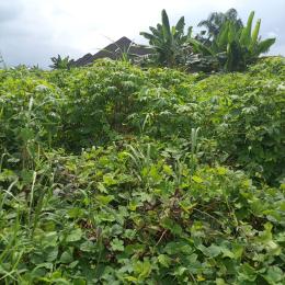 Land for sale Uyo Akwa Ibom