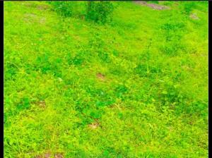 Land for sale Main Maitama Abuja