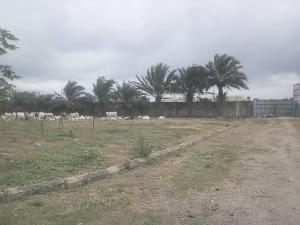 Commercial Property for sale Sango Ota Ifo Ifo Ogun