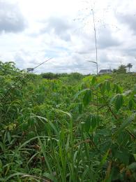 Land for sale Uyo Akwa Ibom