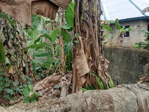 Land for sale Uyo Akwa Ibom
