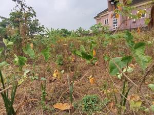 Land for sale Uyo Akwa Ibom