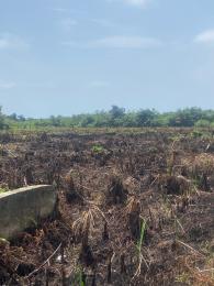 Land for sale Fountain Spring Ville Sangotedo Ajah Lagos
