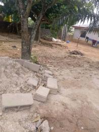 Land for sale Riverview Estate Iyana Ekoro Meiran Abule Egba Lagos