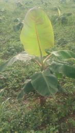 Land for sale Odogbolu Ogun