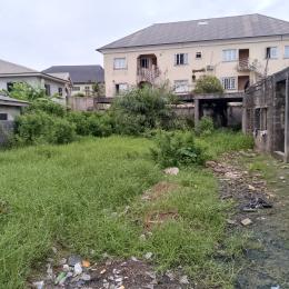 Land for sale Badore Ajah Lagos