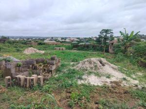 Land for sale Back Of Okenla School Ifo Ifo Ogun