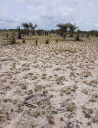 Land for sale Imosan Village, Off Igbogun Road, Ibeju Lekki Ibeju-Lekki Lagos