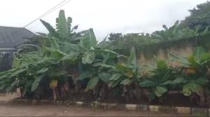 Land for sale Prefab, Aladinma Owerri Imo