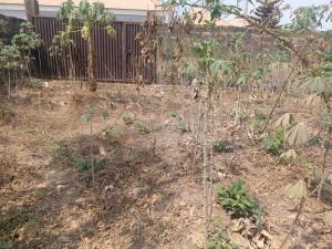 Land for sale Abese Elebu Off Akala Express Olak Ibadan Oyo