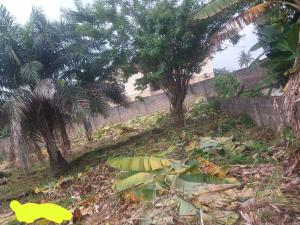 Land for sale New Bodija Divine Ibadan Oyo