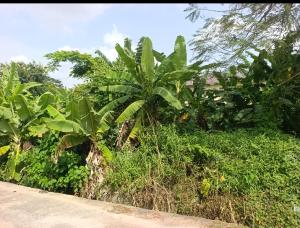 Land for sale Ikolaba Estate Ikolaba Ibadan Ikolaba Ibadan Oyo