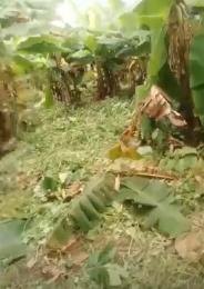 Land for sale Olowofela Magboro Obafemi Owode Ogun