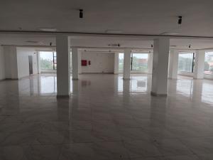 Commercial Property for rent Wuse2 District Abuja ( Video Of Shop Is Attached) Wuse 2 Abuja
