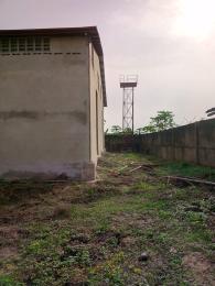 Commercial Property for rent Eleganza Industrial Complex Alatise Ibeju-Lekki Lagos