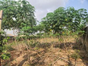 Land for sale Agbofieti, Idi Shin Ext Ibadan Oyo