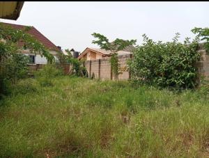 Land for sale Behind Solam Oluyole Estate Ibadan Oyo