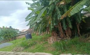 Land for sale Old Bodija Ibadan Bodija Ibadan Oyo