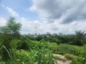 Land for sale Cocacola, Asejire Iwo Rd Ibadan Oyo