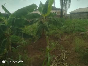 Land for sale Mallami Avenue, Oluyole Estate Ibadan Oyo