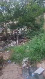 Land for sale Atunranse Estate Gbagada Lagos