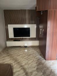 6 bedroom House for rent Maitama District Abuja. Mabushi Abuja