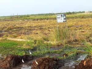 Land for sale Sangotedo Ajah Lagos