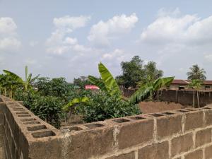 Land for sale Gbelekale, Odo Ona Kekere After Top One Odo Ona kekere Ibadan Oyo