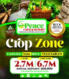 Land for sale  Ajebo Obafemi Owode Ogun