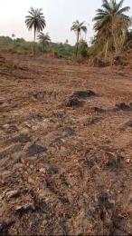 Land for sale Oyo Ode Ojoo Ibadan Oyo