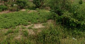 Land for sale Calabar Cross River