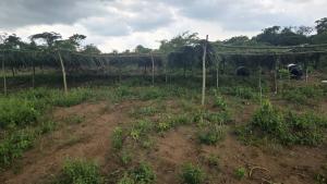 Land for sale Sunshine Garden Estate Located In Ipara,off Lagos Ibadan Expressway Ogun Waterside Ogun