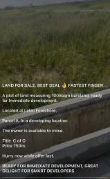 Land for sale Lekki Foreshore Lekki Lagos