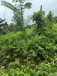 Land for sale T Moniya, Alabama Area, Close To Railway Station Akinyele Oyo