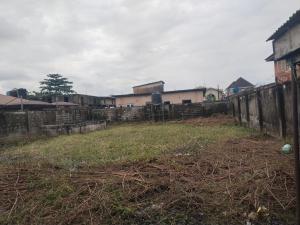 Land for sale Devine Estate Ago Palace Way Ago palace Okota Lagos