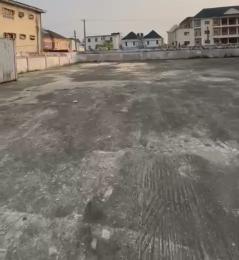 Land for sale Directly Facing The Expressway Ologolo Lekki Lagos