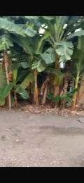 Land for sale Atunranse Estate Gbagada Lagos