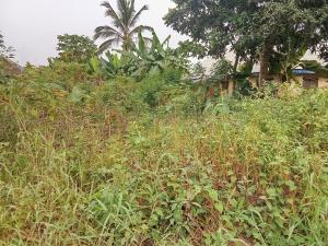 Land for sale Ibom Icon Hotel And Golf Resort Uyo Akwa Ibom