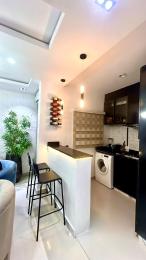 1 bedroom Flat / Apartment for shortlet  Lekki Phase 1 Lekki Lagos