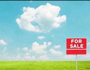 Land for sale chevron Lekki Lagos
