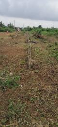 Land for sale Splendor Garden Okpara Road Okigwe Okigwe Imo