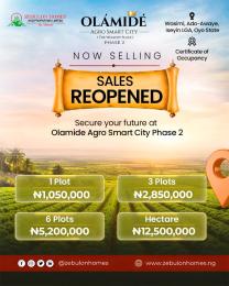 Land for sale Olamide Agro Smart City Located At Wasimi Ado Awaye Iseyin Oyo
