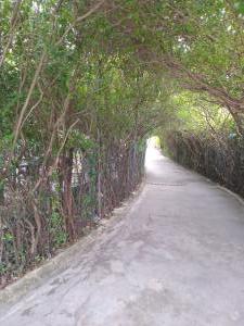 Land for sale Maryland Ikeja Lagos