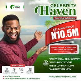Land for sale Agri Isawo Ikorodu Lagos Isawo Ikorodu Lagos