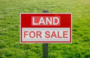 Land for sale Freedom Way Lekki Lagos